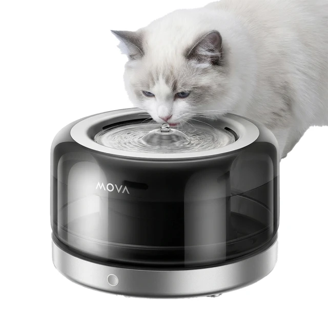 2026 寵物科技志：布偶貓正在使用具備智慧感測功能的透明自動飲水機，說明如何透過水合演算法追蹤貓咪每日攝水量與腎臟健康數據